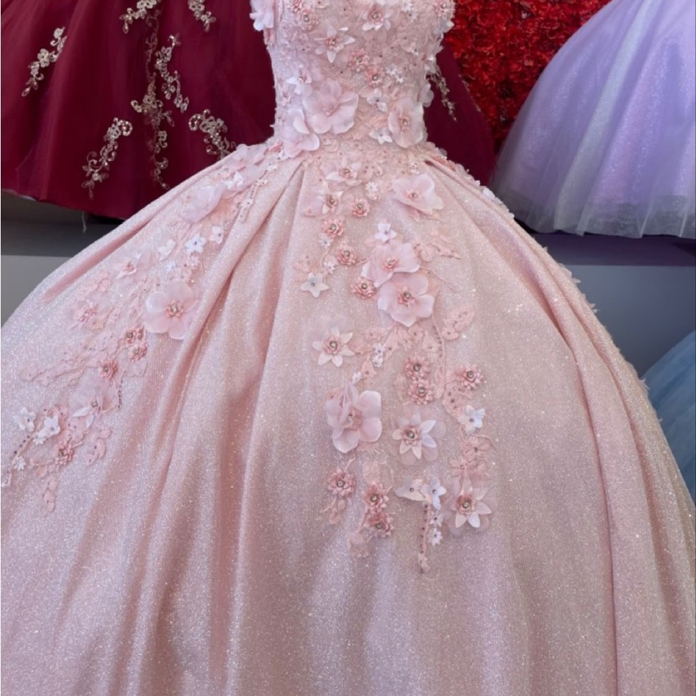 Elegant Pink (blush) Floral Quinceañera Dress